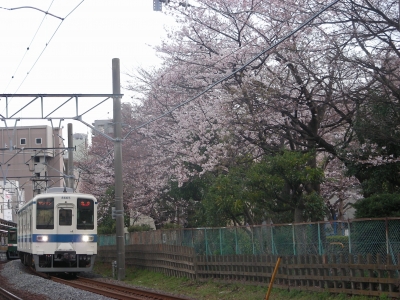 DSCN9268.JPG