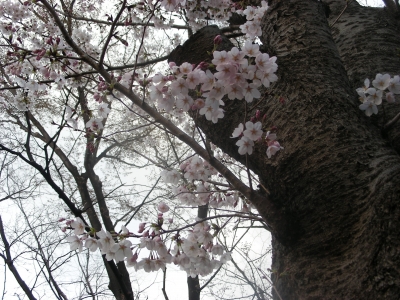 DSCN9269.JPG