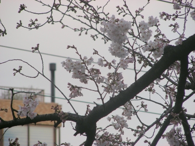 DSCN92701.JPG
