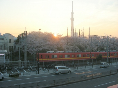 DSCN92921.JPG