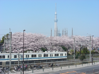 DSCN9306.JPG