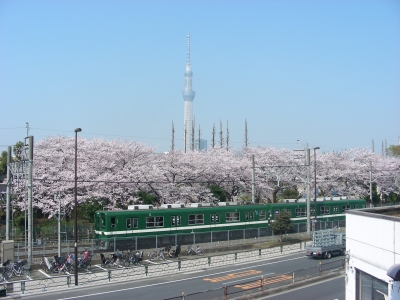 DSCN9307.JPG