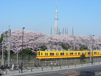 DSCN9322.JPG