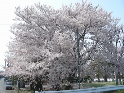 DSCN9337.JPG