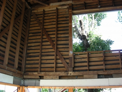 DSCN9618.JPG