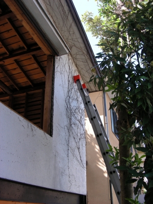 DSCN9622.JPG