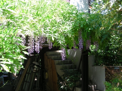 DSCN9638.JPG