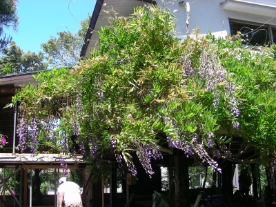 DSCN9639.JPG
