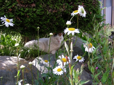 DSCN9816.JPG