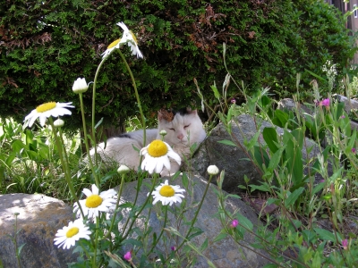 DSCN9819.JPG