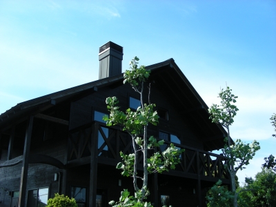 DSCN9988.JPG