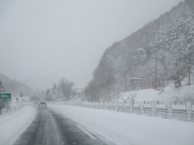 東北道