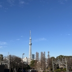 IMG_0550.JPG