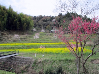 里山