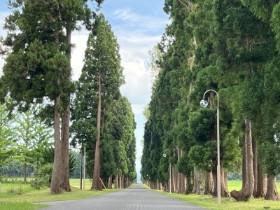 トラビスト大修道院