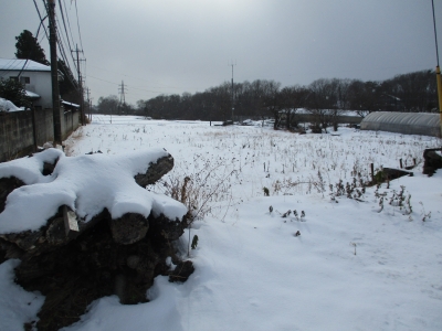 雪の別荘地