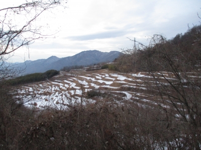 雪の棚田