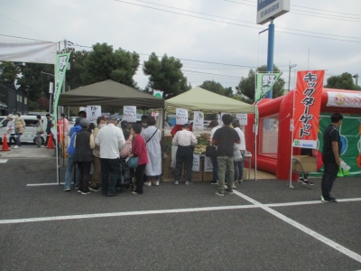 野菜