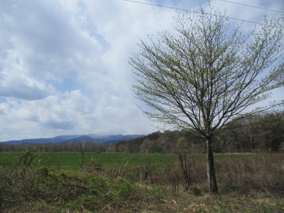 風景