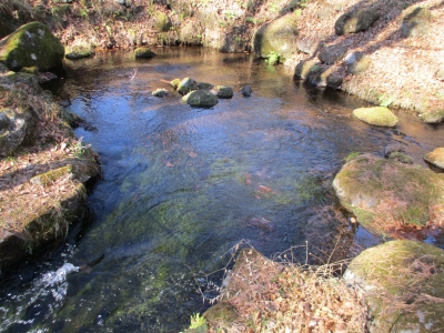 三分一湧水