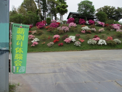 会場