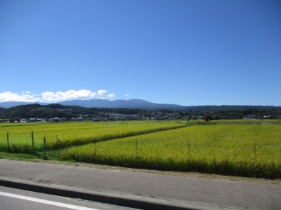 田園風景