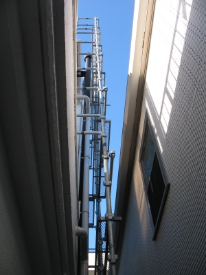 IMG_5115.JPG