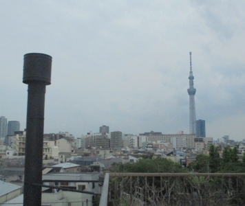 完了