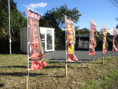 トマトモツ煮