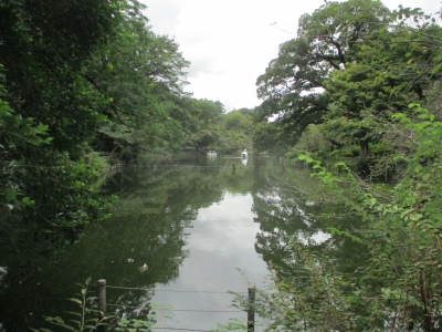 公園