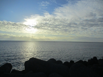 海