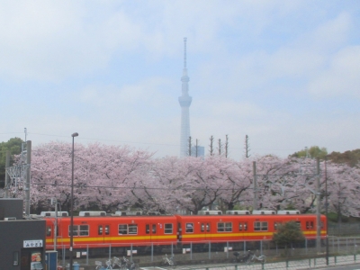 東武亀戸線