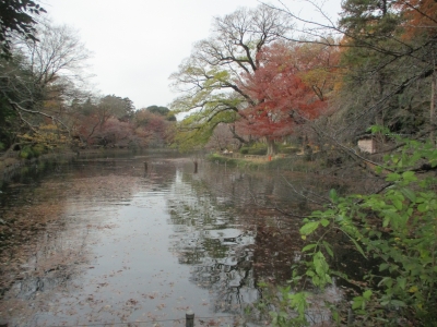 公園