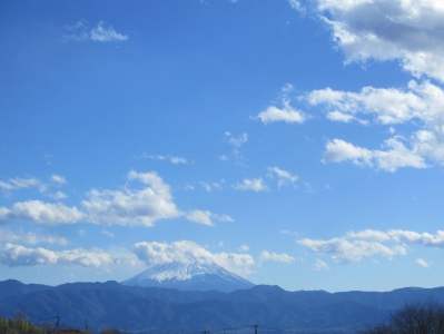 富士山