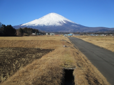 富士山