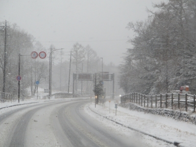 雪道