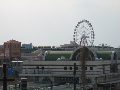 IMG_7981.JPG