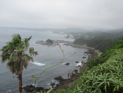 国道135号線