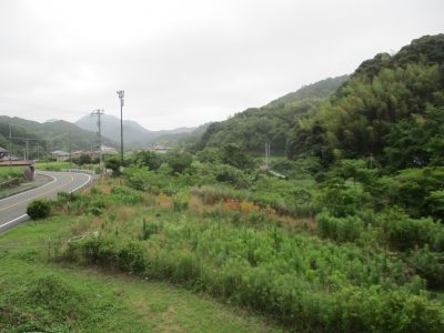 県道わき