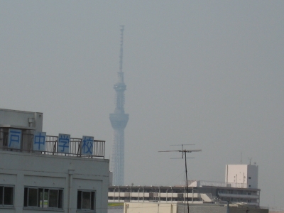 IMG_8940.JPG
