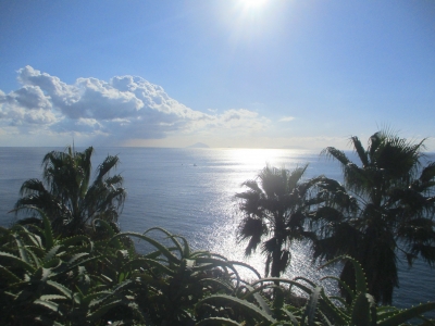 海岸沿い