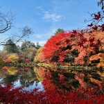 IMG_E0336.JPG
