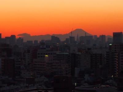 P1016005.JPG