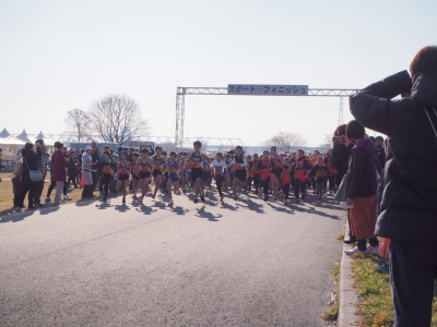 柴又ロードレース大会