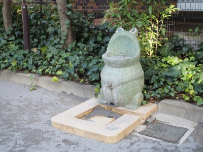 カエルの水飲み場