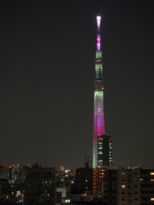 ３月７日