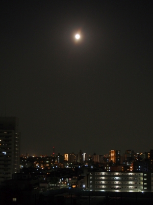 ワームムーン
