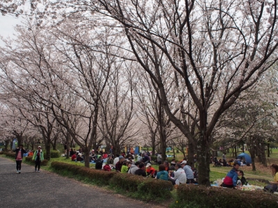 花見