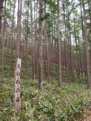 P5130055.jpg