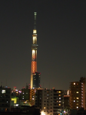 P5210002.JPG